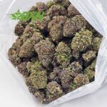 Buy Snoop Dogg OG AAAA at BudExpressNOW Online Shop