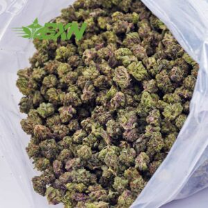 Buy Gushers AAAA (Popcorn) at BudExpressNOW Online Shop