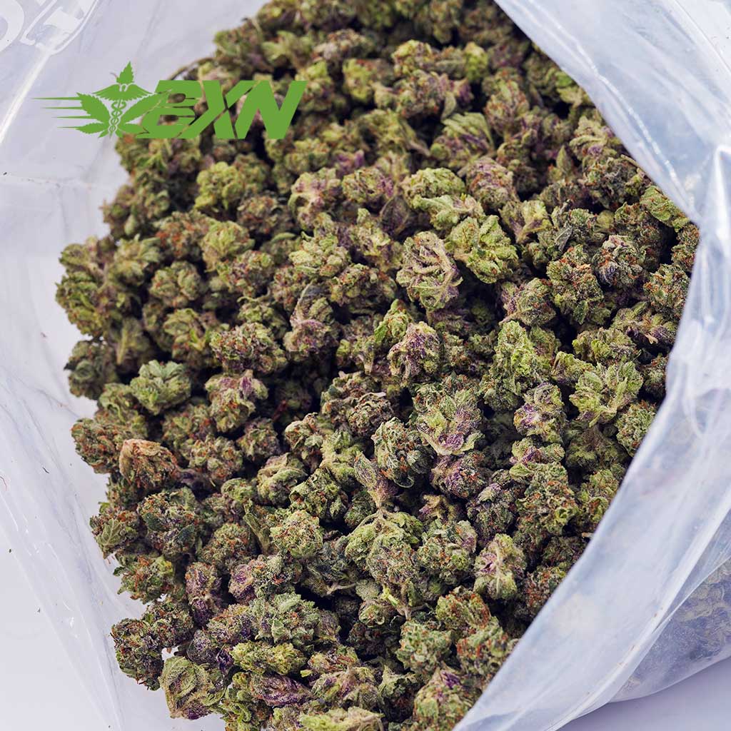 Buy Gushers AAAA (Popcorn) at BudExpressNOW Online Shop