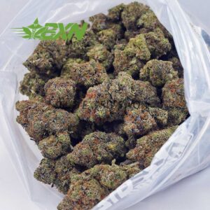 Buy Pink Gas Mask (Craft) at BudExpressNOW Online Shop