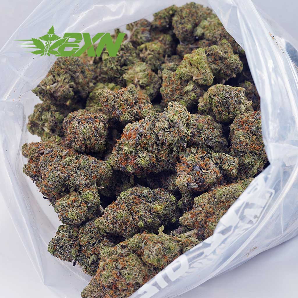 EA PINKGASMASK BXN Buy Pink Gas Mask (Craft) at BudExpressNOW Online Shop