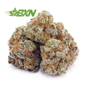 Buy Dolato AAAA (Popcorn) at BudExpressNOW Online Shop