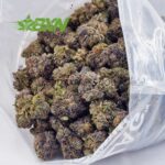 Buy Death Bubba AAA at BudExpressNOW Online Shop