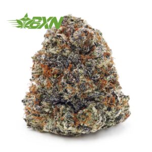 Buy Laughing Buddha AAAA (Craft) at BudExpressNOW Online Shop