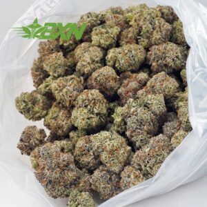 Buy Laughing Buddha AAAA (Craft) at BudExpressNOW Online Shop