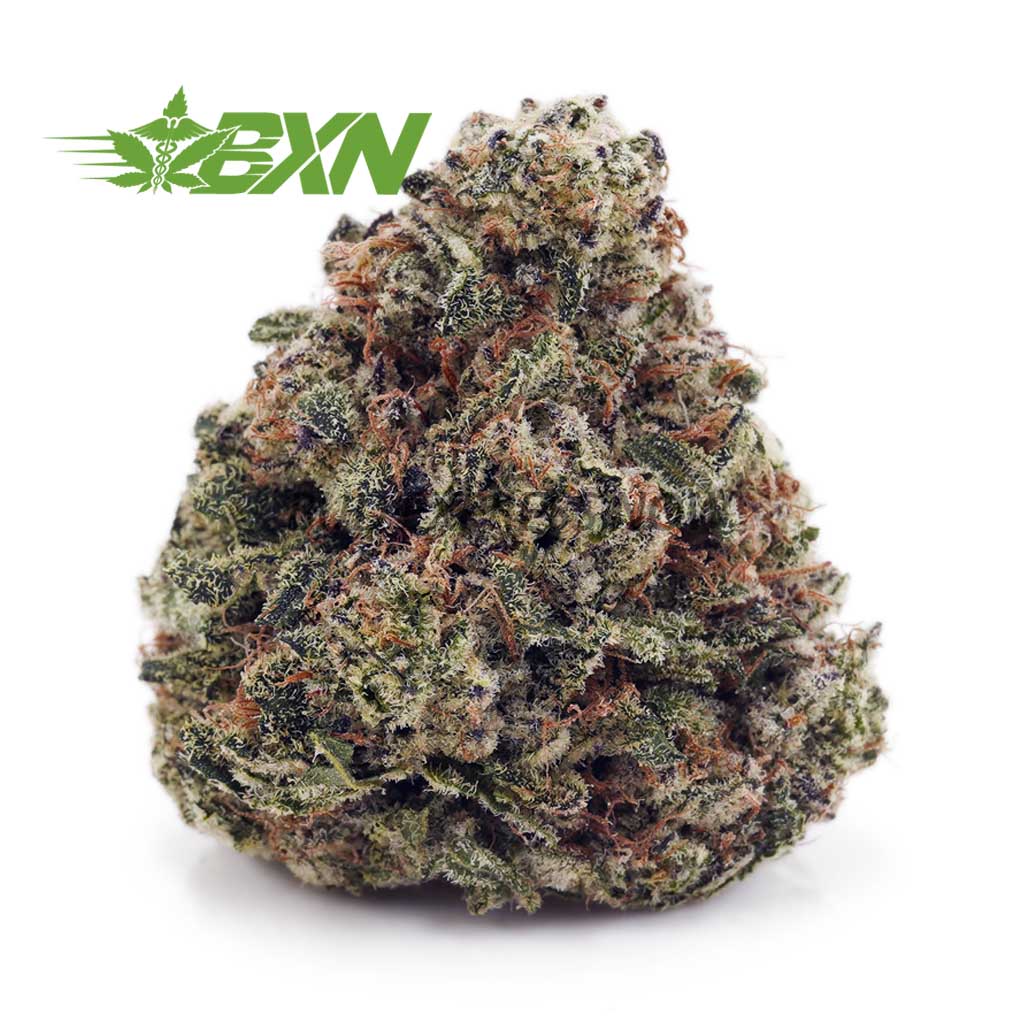 Buy Tom Ford Pink Kush (Craft) at BudExpressNOW Online Shop