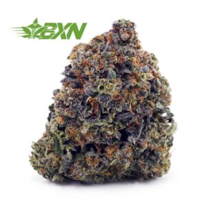 Buy Pink Rockstar AAAA at BudExpressNOW Online Shop