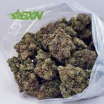 Buy Pink Rockstar AAAA at BudExpressNOW Online Shop