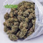 Buy Ghost Train Haze AAA at BudExpressNOW Online Shop