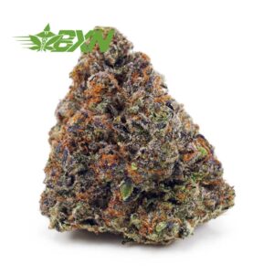 Buy Mike Tyson (Craft) at BudExpressNOW Online Shop