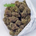 Buy Mike Tyson (Craft) at BudExpressNOW Online Shop