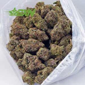 Buy Mike Tyson (Craft) at BudExpressNOW Online Shop