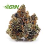 Buy Couch Lock (Craft) at BudExpressNOW Online Shop