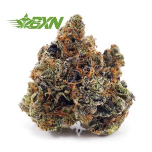 Buy Couch Lock (Craft) at BudExpressNOW Online Shop