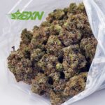 Buy Couch Lock (Craft) at BudExpressNOW Online Shop