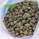 Buy Green Crack AAAA (Popcorn) at BudExpressNOW Online Shop
