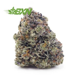 Buy OG Octane (Craft) at BudExpressNOW Online Shop