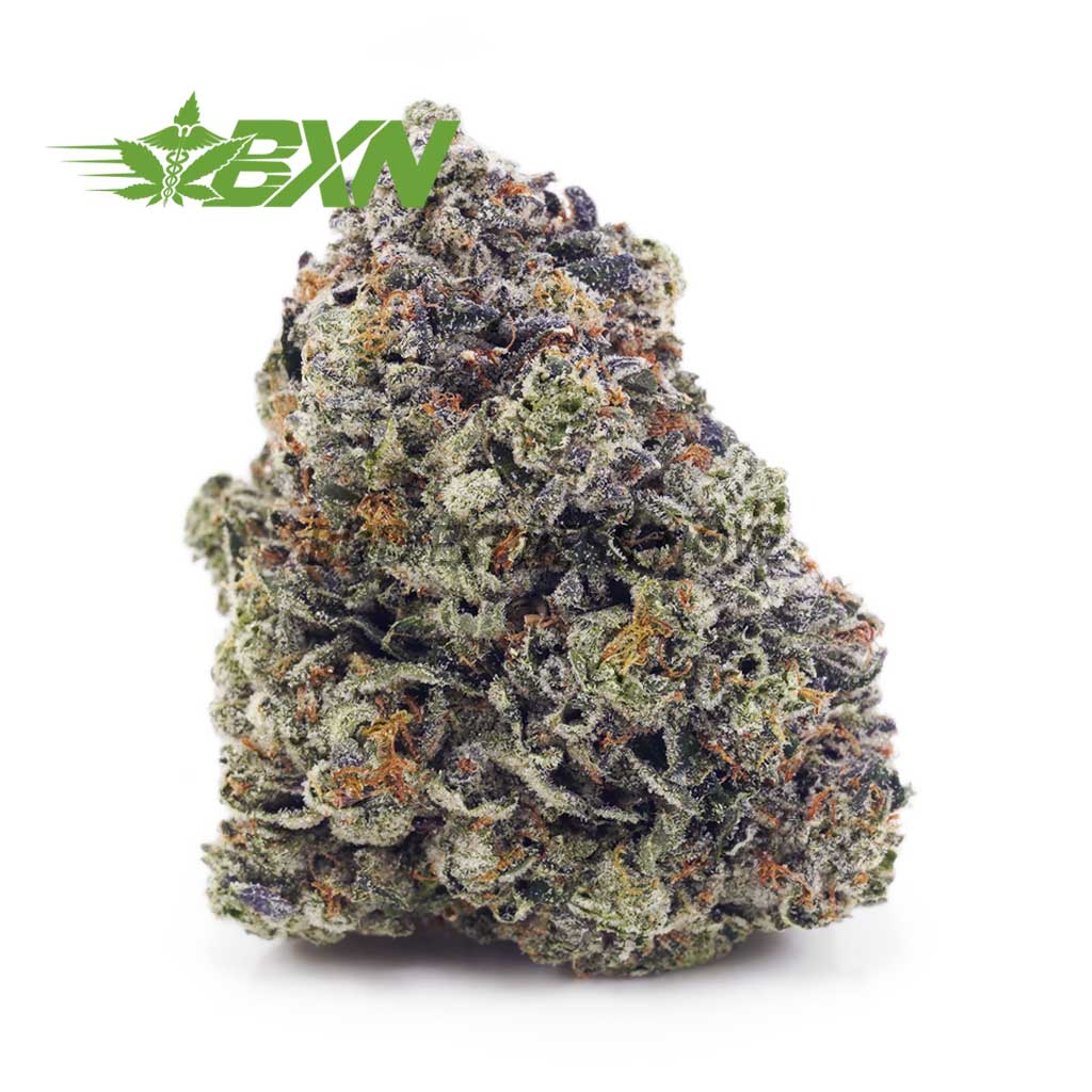 Buy OG Octane (Craft) at BudExpressNOW Online Shop