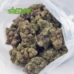 Buy OG Octane (Craft) at BudExpressNOW Online Shop