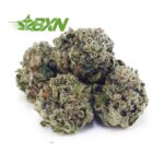 Buy Astro Cookies AAAA (Popcorn) at BudExpressNOW Online Shop