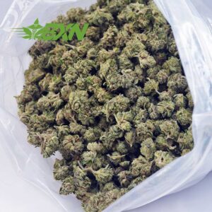 Buy Astro Cookies AAAA (Popcorn) at BudExpressNOW Online Shop