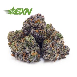 Buy Pink Tuna AAAA (Popcorn) at BudExpressNOW Online Shop