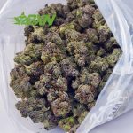 Buy El Chapo AAAAÂ at BudExpressNOW Online Shop