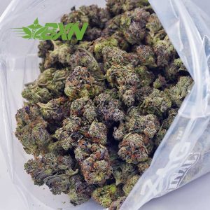 Buy El Chapo AAAA at BudExpressNOW Online Shop