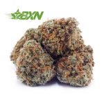 Buy White Russian Cream AAAA (Popcorn) at BudExpressNOW Online Shop