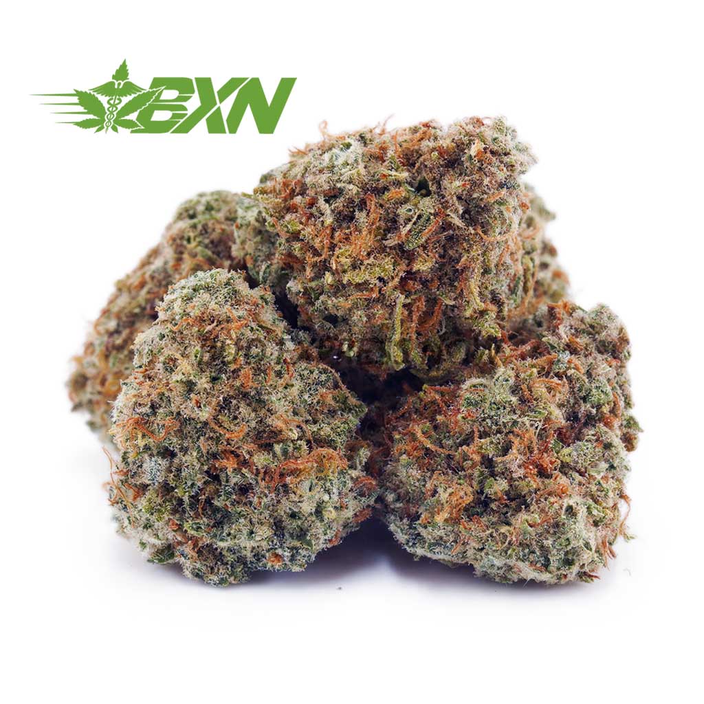 Buy White Russian Cream AAAA (Popcorn) at BudExpressNOW Online Shop