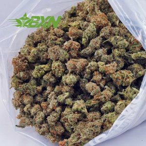 Buy White Russian Cream AAAA (Popcorn) at BudExpressNOW Online Shop