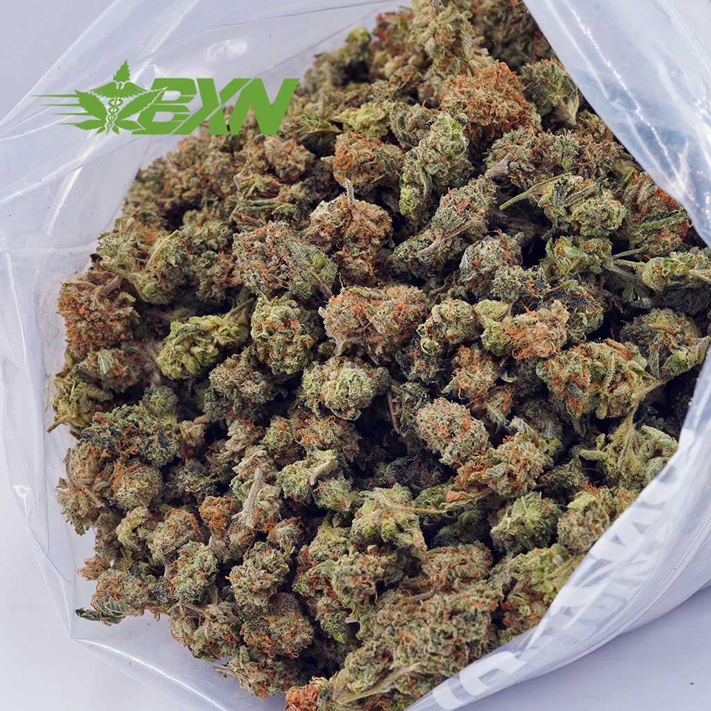 Buy White Russian Cream AAAA (Popcorn) at BudExpressNOW Online Shop