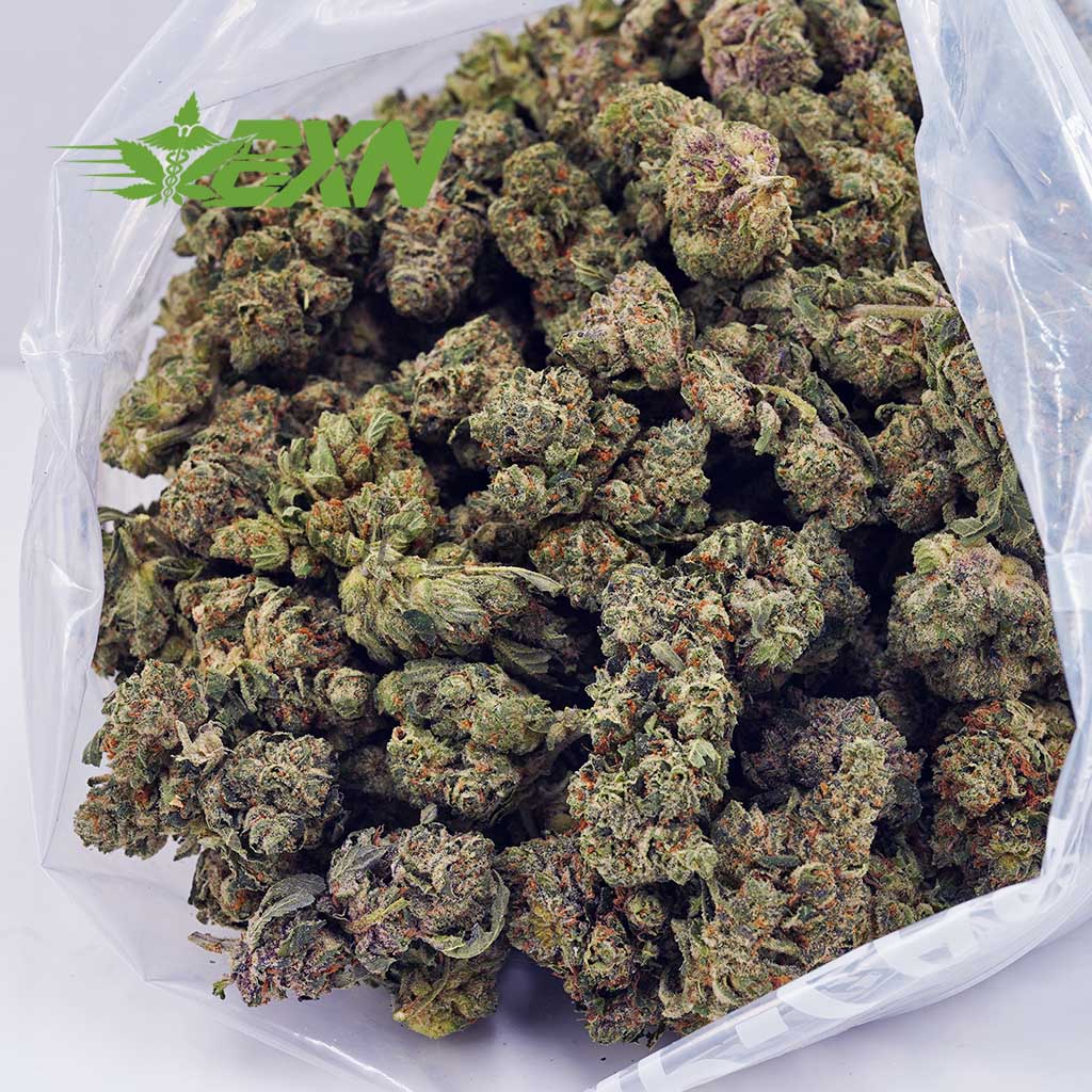 Buy Cinderella 99 AA at BudExpressNOW Online Shop