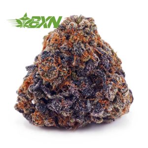 Buy Orange Creamsicle AAA at BudExpressNOW Online Shop