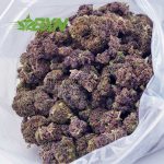 Buy Cotton Candy Kush AAA at BudExpressNOW Online
