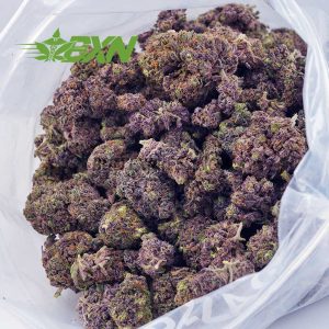 Buy Cotton Candy Kush AAA at BudExpressNOW Online