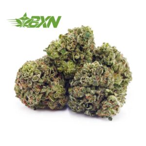 Buy Platinum Rockstar AAAA (Popcorn) at BudExpressNOW Online Shop