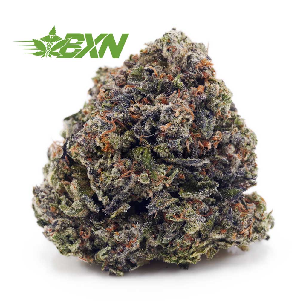 Buy Pink Kush AAAA at BudExpressNOW Online Shop