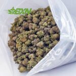 DA WHITESKUNKPOPCORN BXN