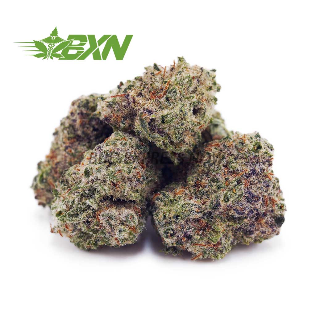 Buy King Louis XIII AAAA (Popcorn) at BudExpressNOW Online