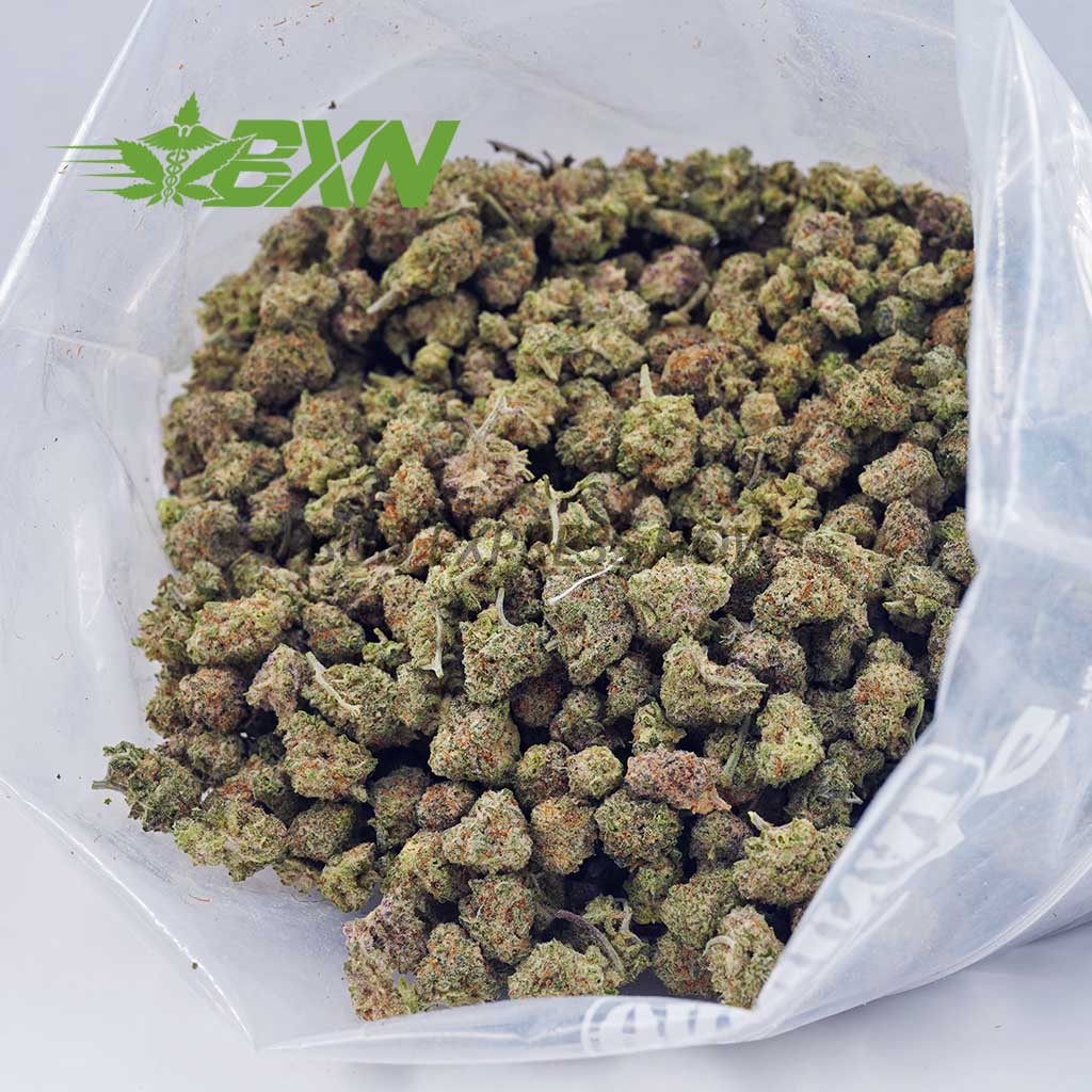 DA KINGLOUISXIIIPOPCORN BXN