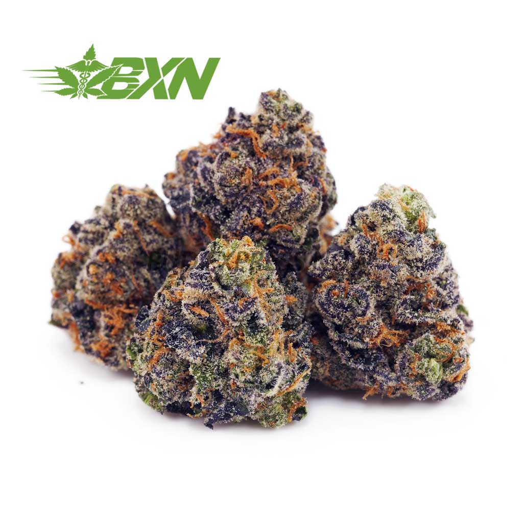 Buy Blackberry Punch AAAA (Popcorn) at BudExpressNOW Online Shop