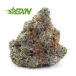Buy Banana OG AAA at BudExpressNOW Online
