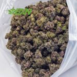 DA BUBBAKUSHPOPCORN BXN