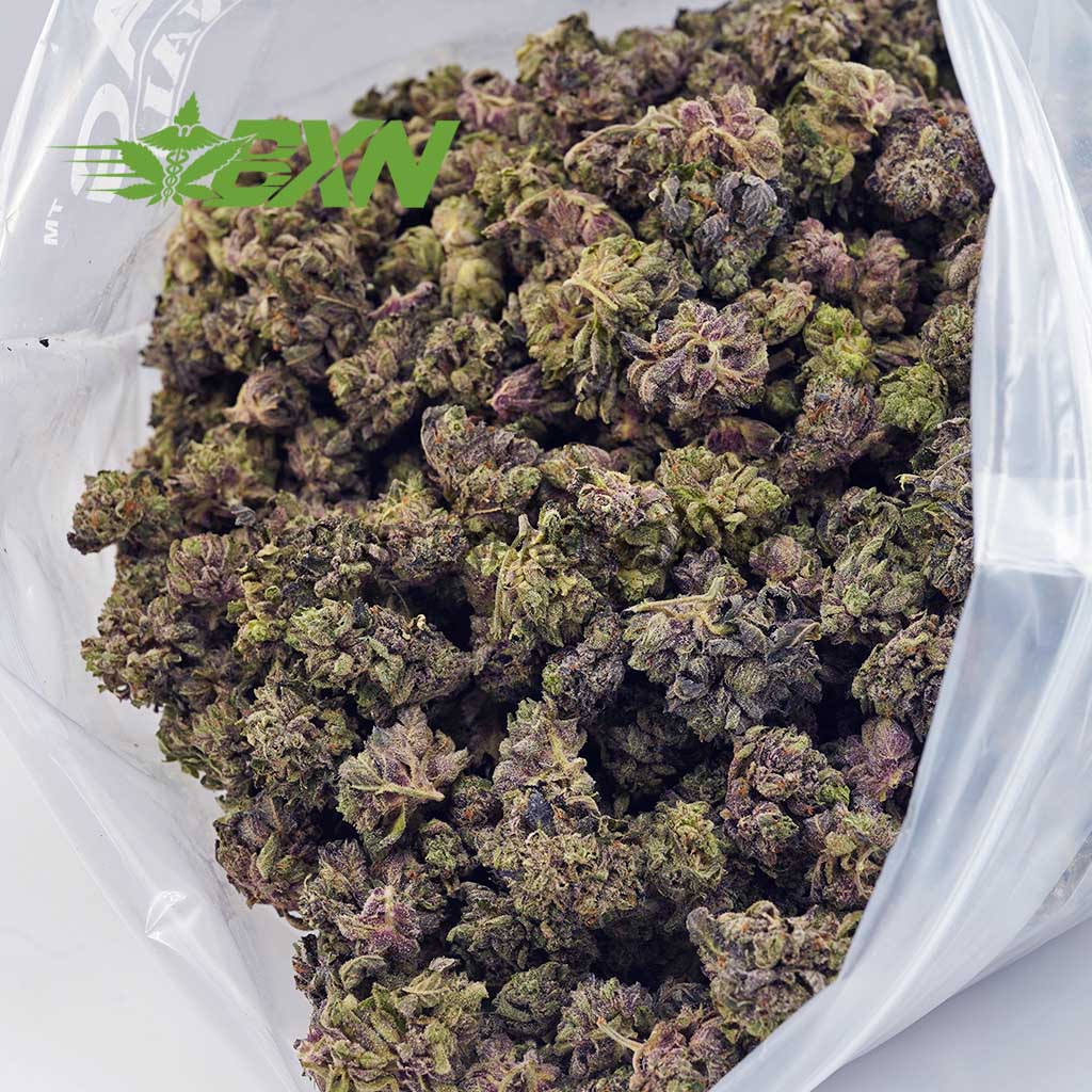 DA BUBBAKUSHPOPCORN BXN DA BUBBAKUSHPOPCORN BXN