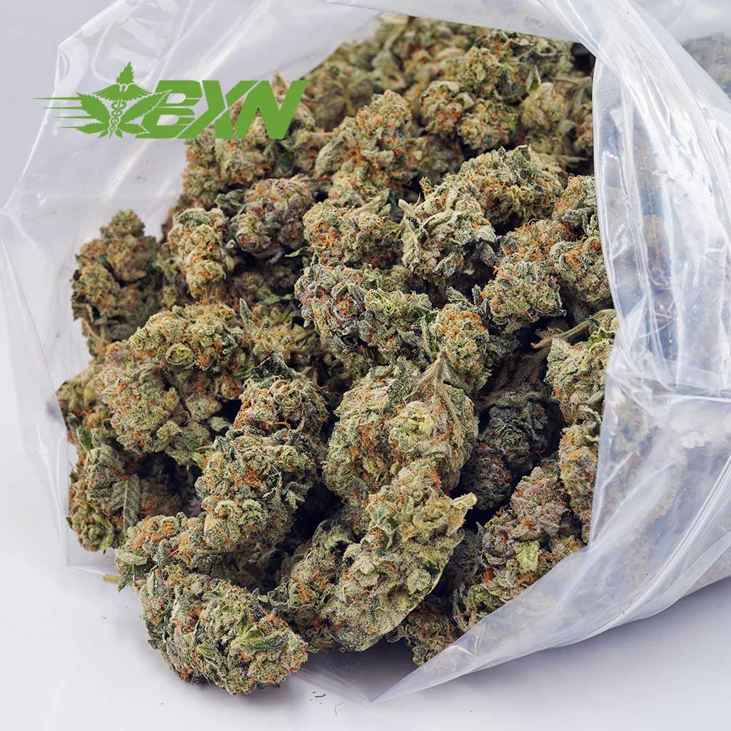 DA RAINBOWDRIVER BXN