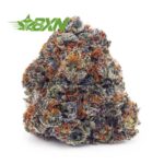 Buy Truffle Butter AAA at BudExpressNOW Online Shop