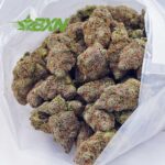 EA SUPREMEKUSHMINTZ BXN