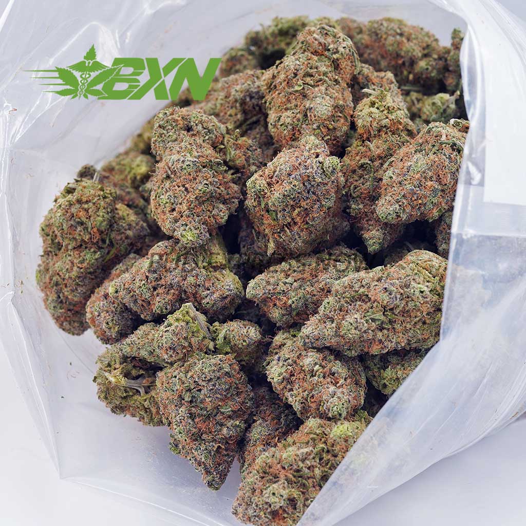 EA SUPREMEKUSHMINTZ BXN