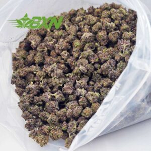 Buy Acapulco Gold AAAA (Popcorn) at BudExpressNOW Online